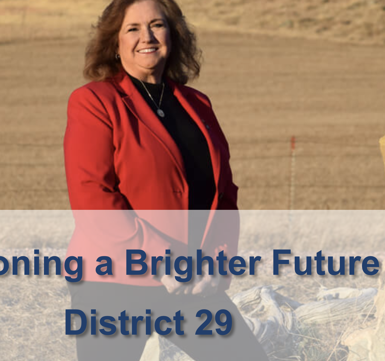 Kathy Rice for District 29 House
